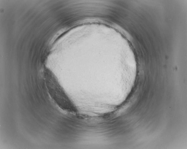 X0000077370953200611171945