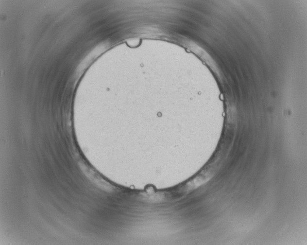 X0000077370954200611171946