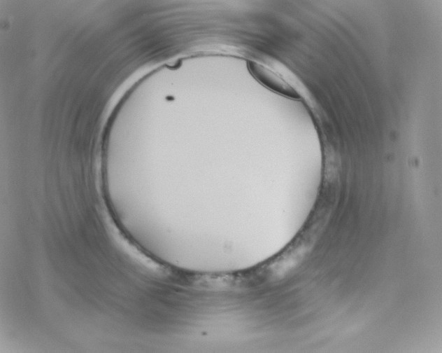 X0000077370955200611171946