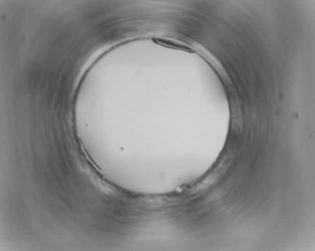 X0000077370956200611171946