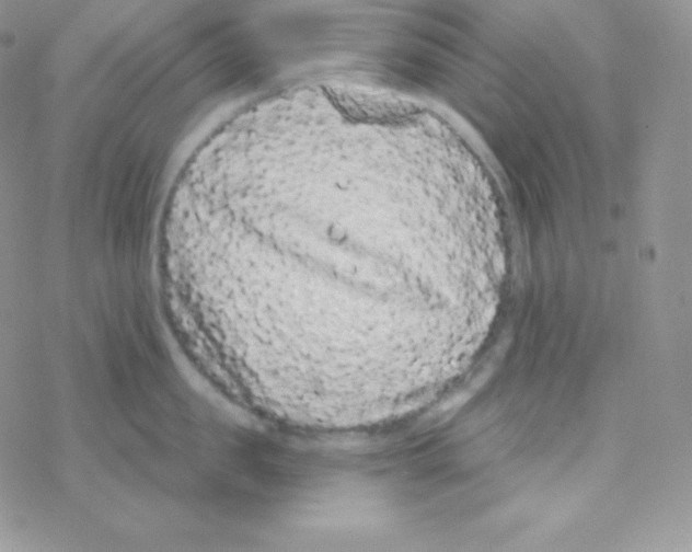 X0000077370957200611171946