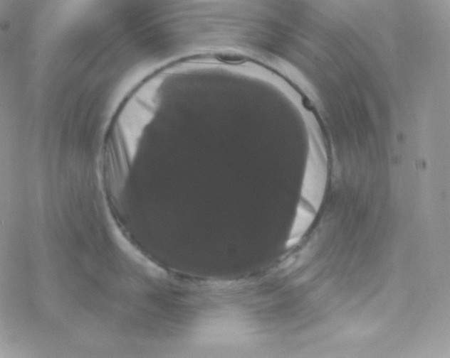 X0000077370958200611171946