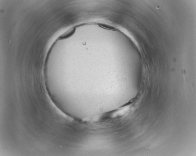 X0000077370959200611171946