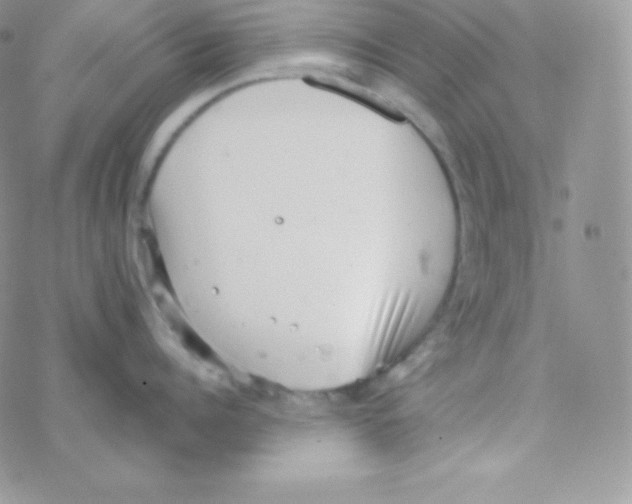 X0000077370960200611171946