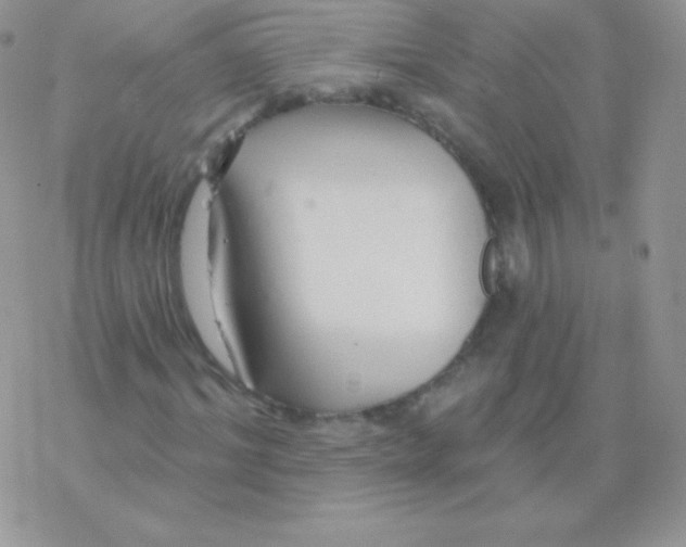 X0000077370964200611171945