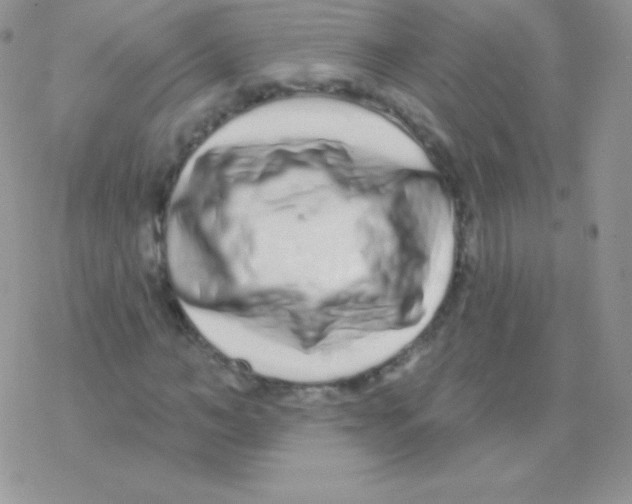 X0000077370966200611171945