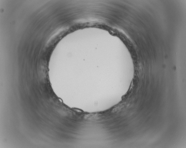 X0000077370967200611171945