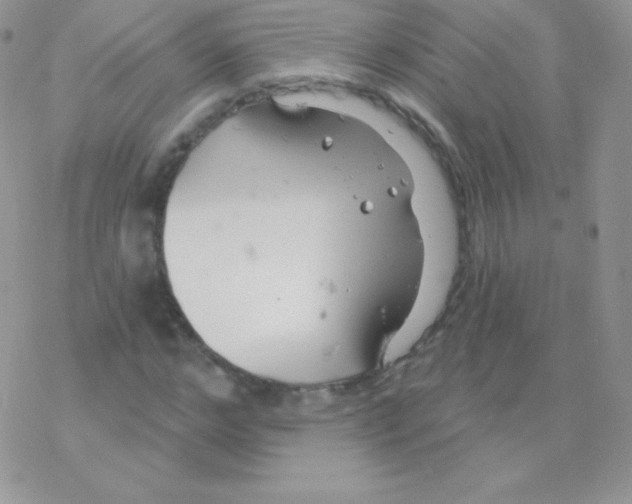 X0000077370968200611171945