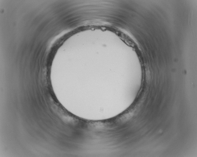 X0000077370971200611171945