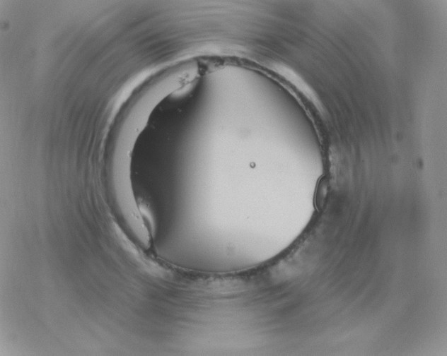 X0000077370972200611171945