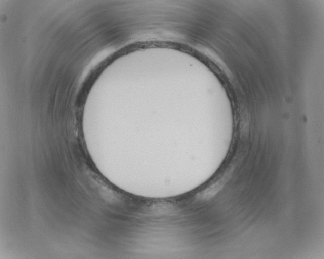 X0000077370974200611171945