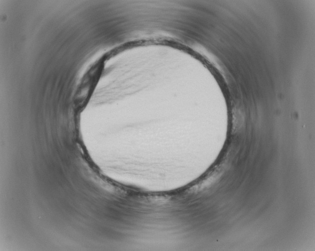 X0000077370975200611171945