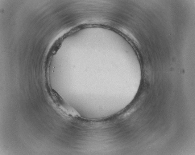 X0000077370976200611171945