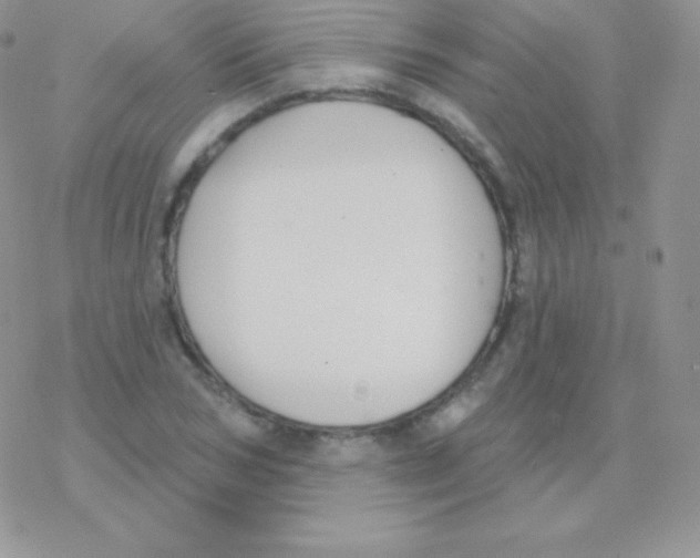 X0000077370978200611171945