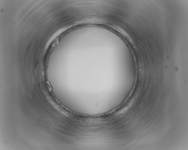 X0000077370981200611171945