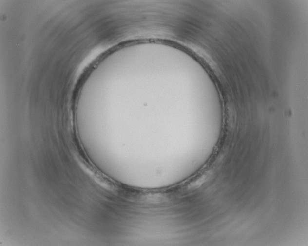 X0000077370982200611171944