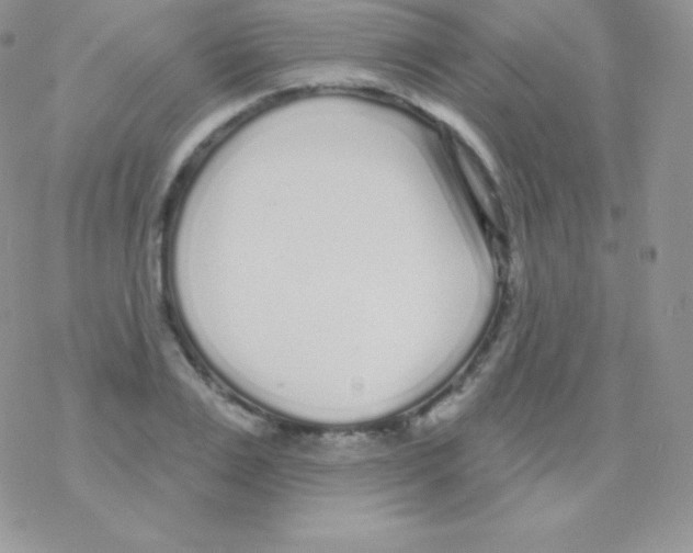 X0000077370983200611171944