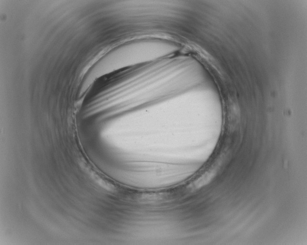 X0000077370985200611171944