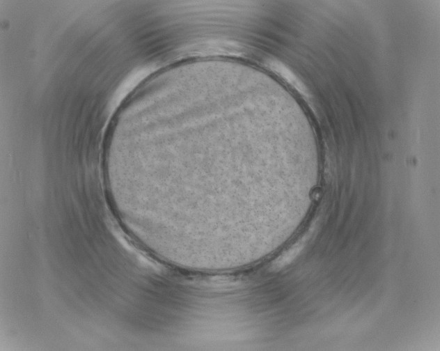 X0000077370986200611171944