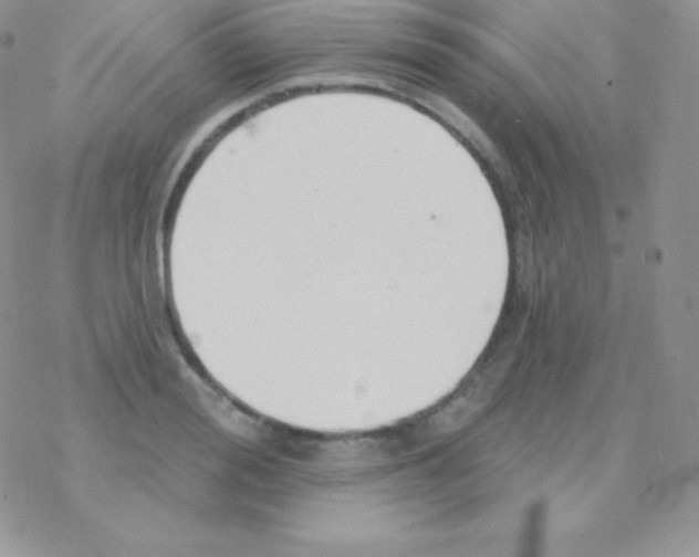 X0000077370988200611171944