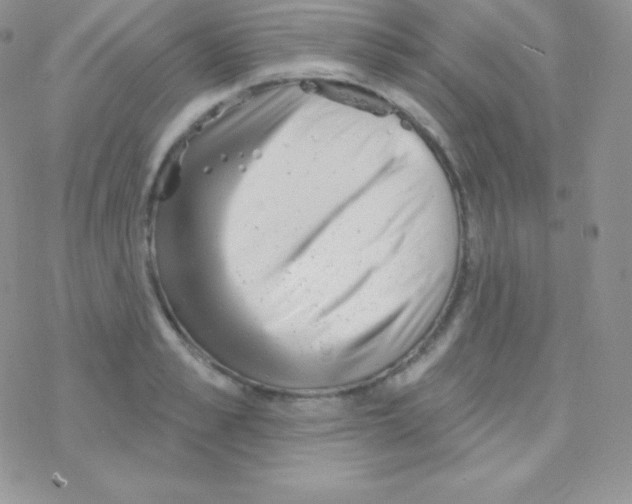 X0000077370989200611171944