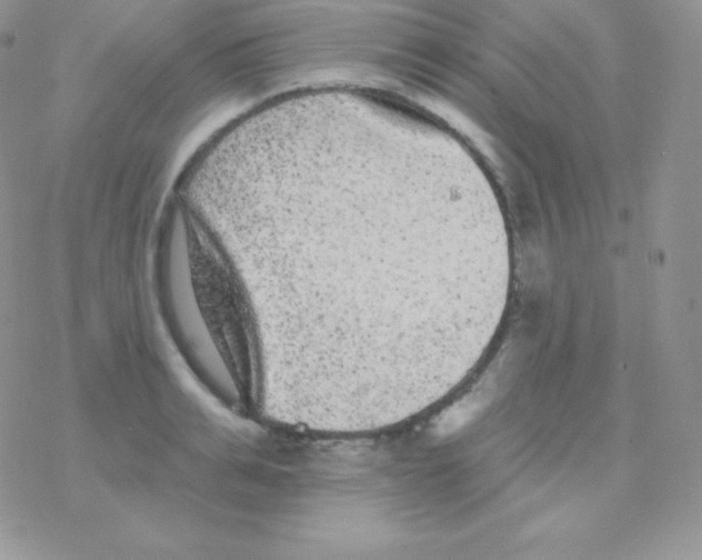 X0000077370991200611171944