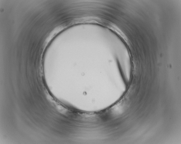 X0000077370994200611171944