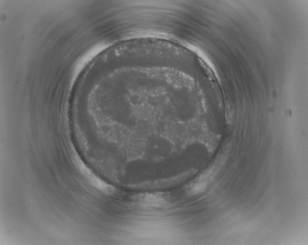 X0000077370995200611171944