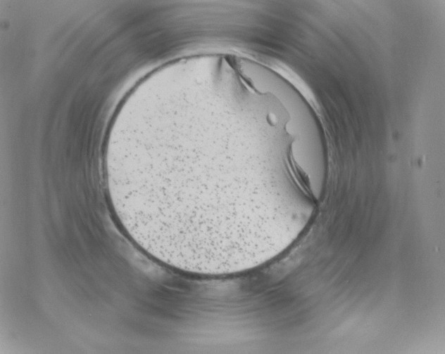 X0000077370996200611171944