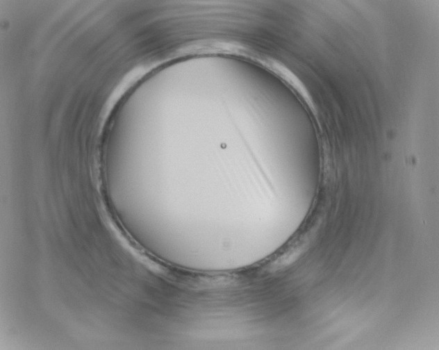 X0000077370997200611171944