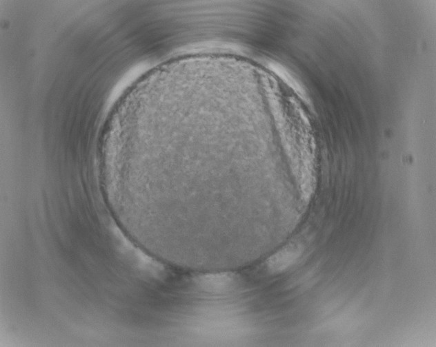 X0000077370998200611171944