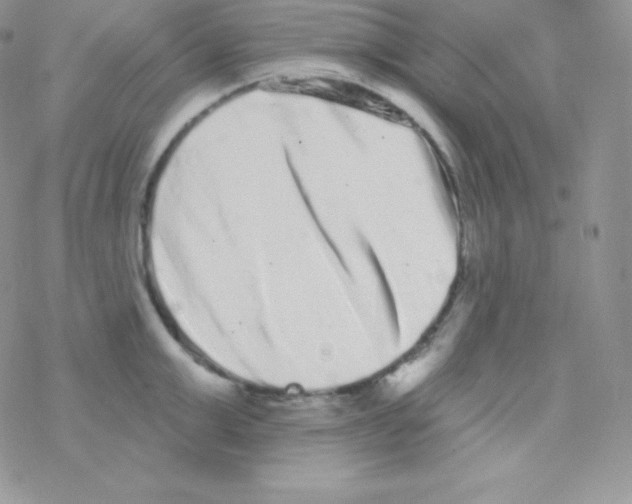 X0000077370999200611171944