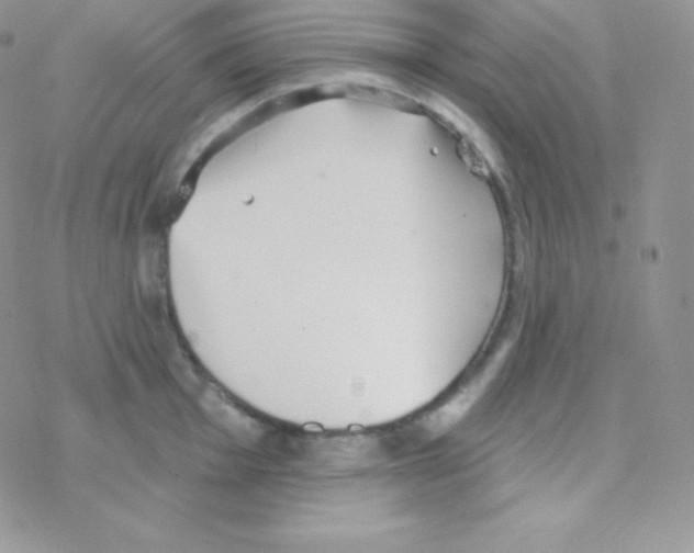 X0000077371001200611171944