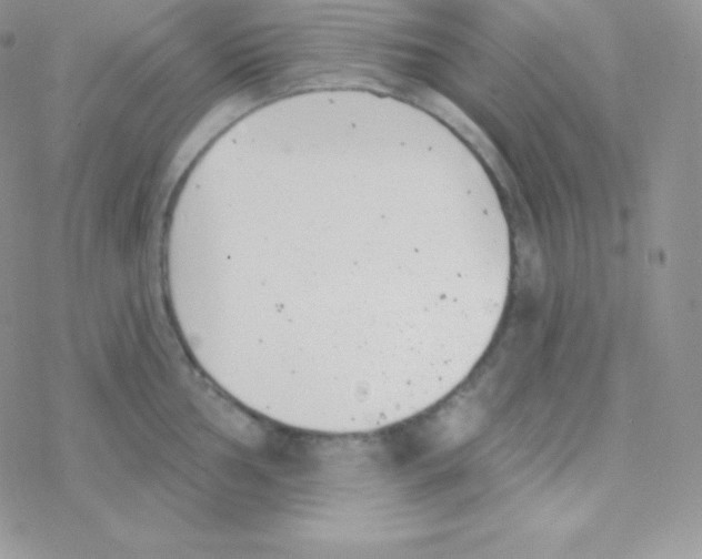 X0000077371002200611171944