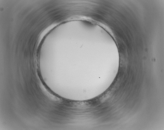 X0000077371003200611171944