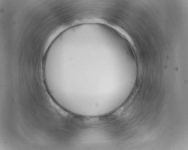 X0000077371006200611171944