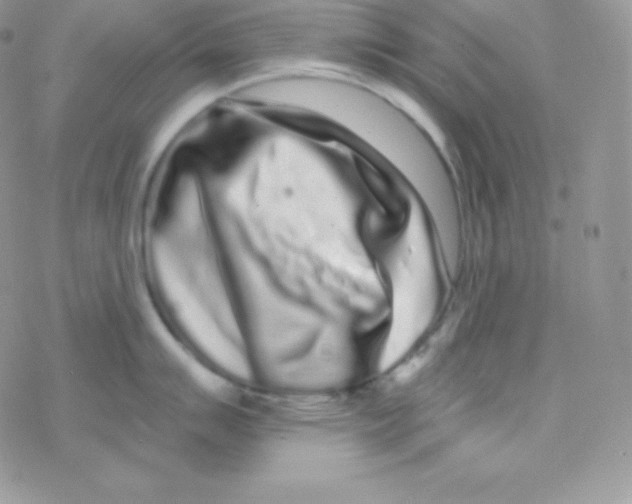 X0000077371007200611171944