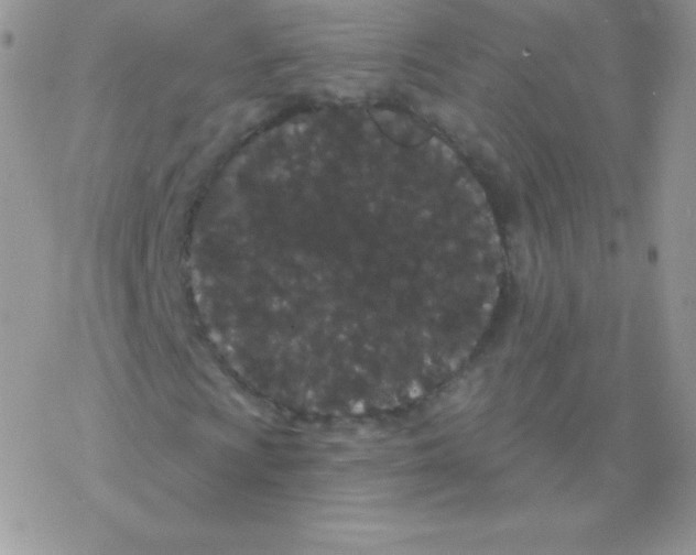 X0000077371009200611171943