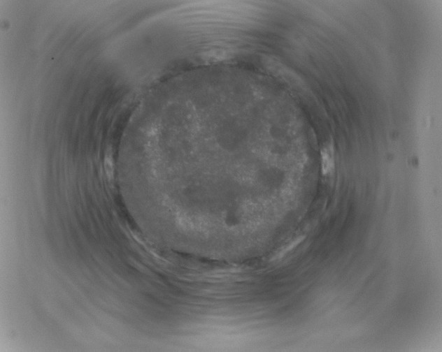 X0000077371011200611171943