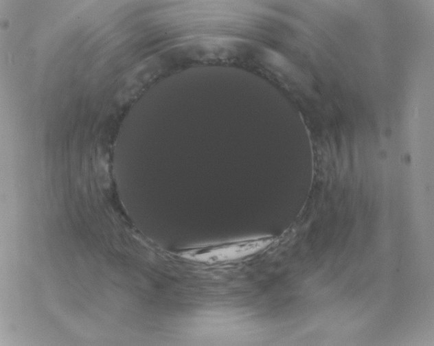 X0000077371013200611171943