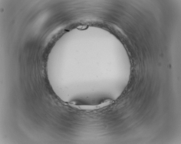 X0000077371016200611171943