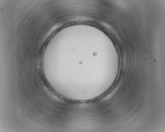 X0000077371017200611171943