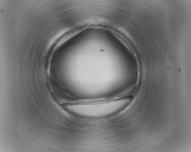 X0000077371018200611171943