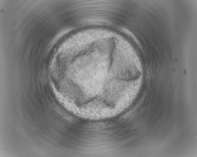 X0000077371019200611171943