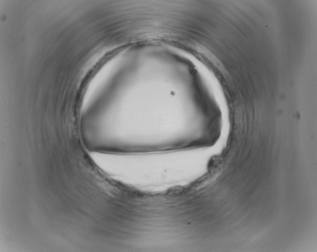 X0000077371023200611171944