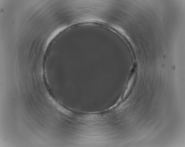 X0000077371024200611171944