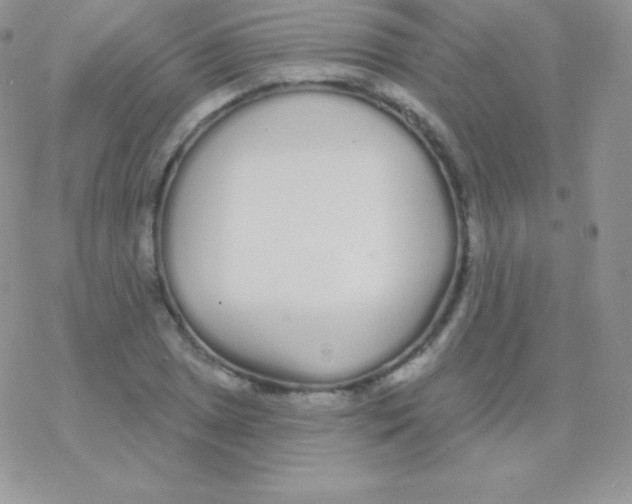 X0000077371025200611171944