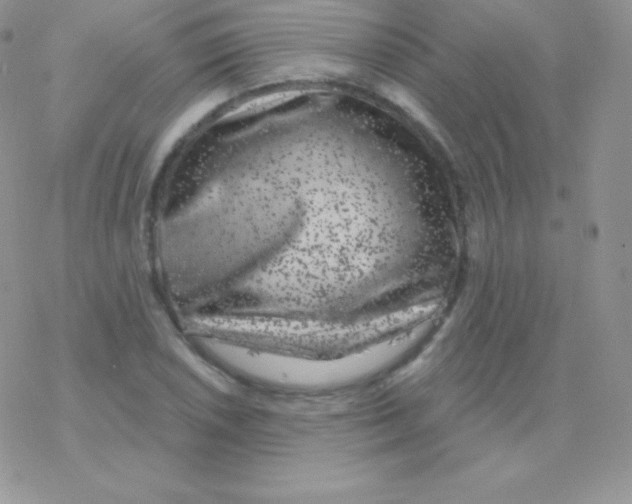 X0000077371026200611171944