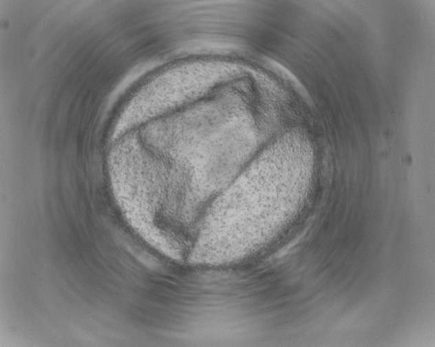 X0000077371027200611171944