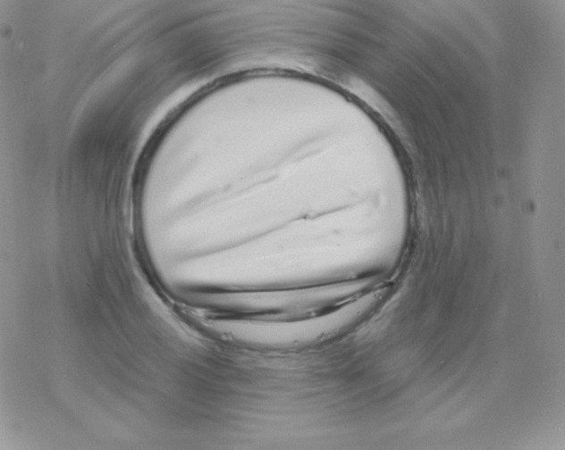 X0000077371028200611171944